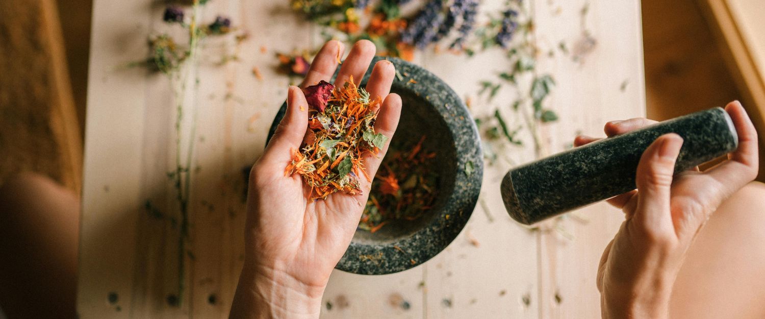 Quoi faire avec les surplus de fines herbes du jardin ou du marché