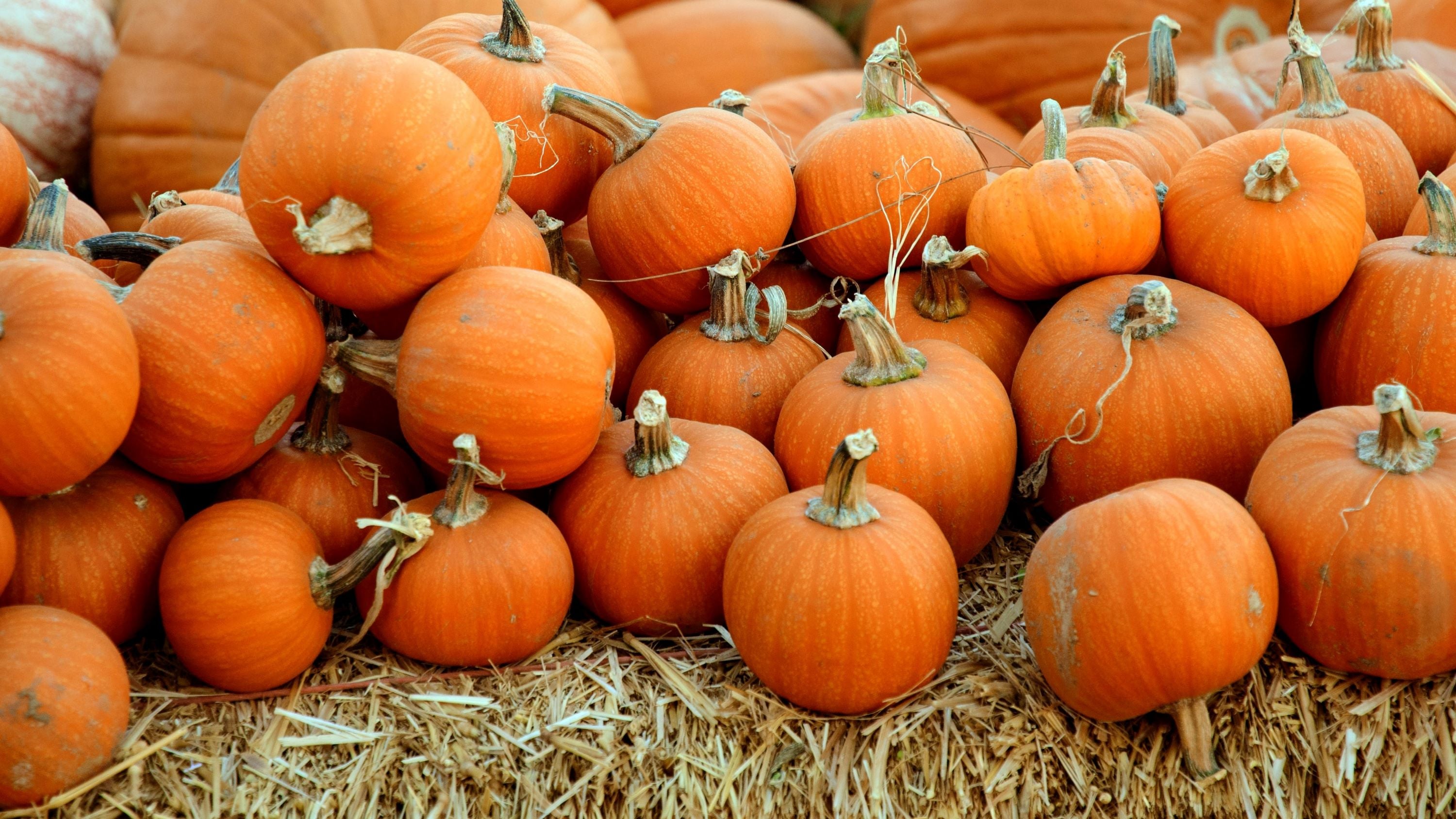 Un halloween zéro gaspi