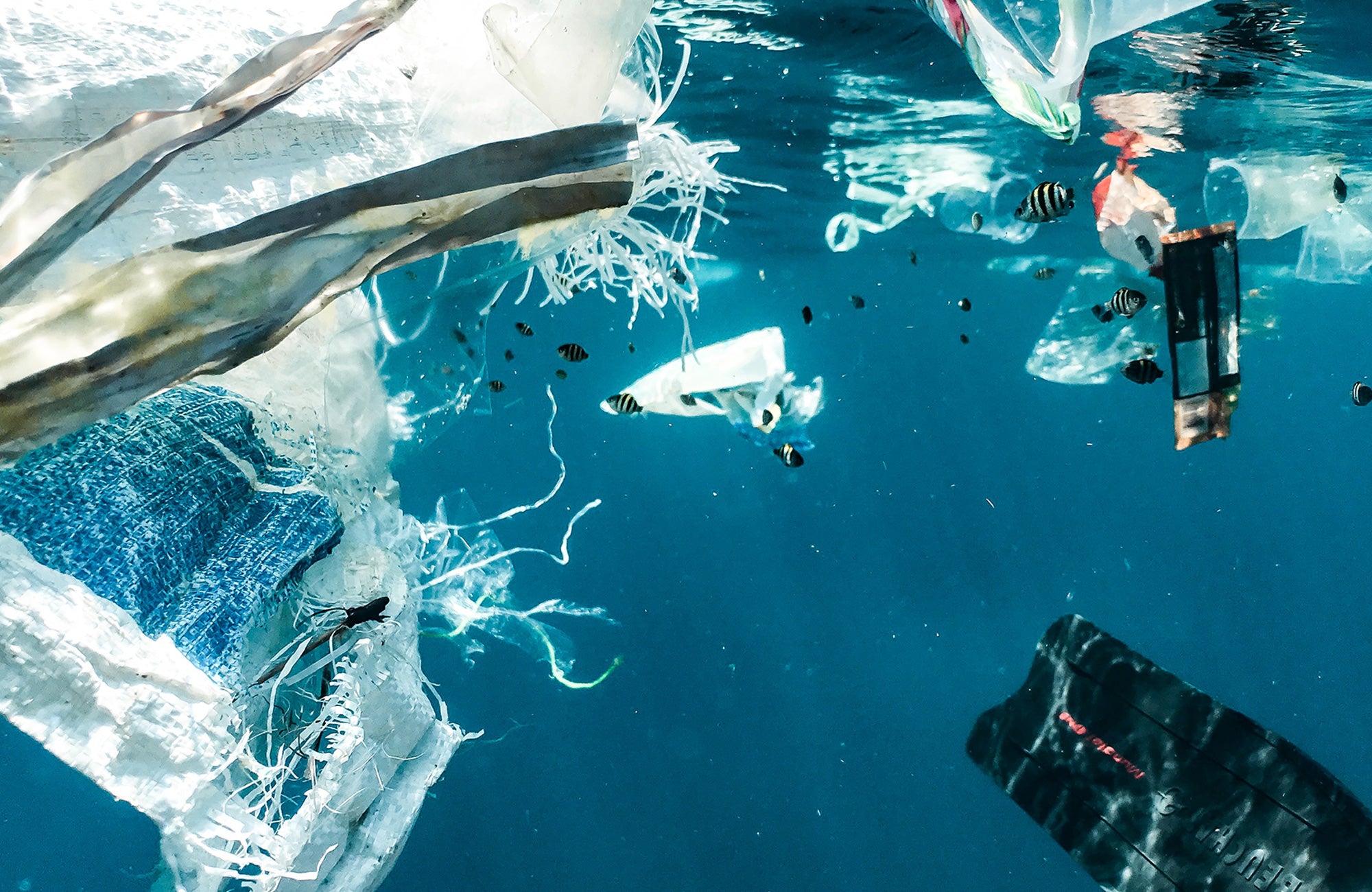Réduire le plastique dans les océans: guide complet