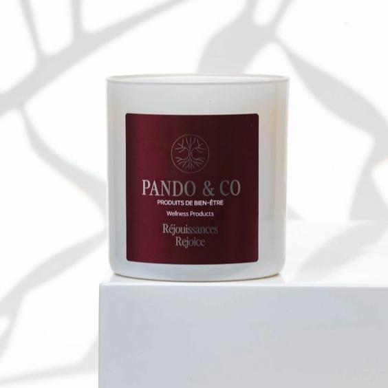 Soy candle - Réjouissances