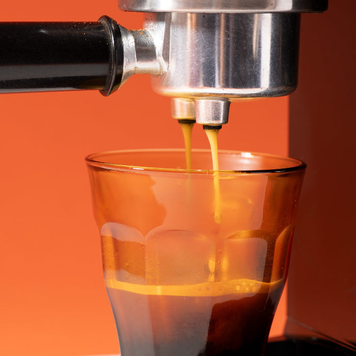 Chicorée Espresso - Torréfaction foncée zoom cafe