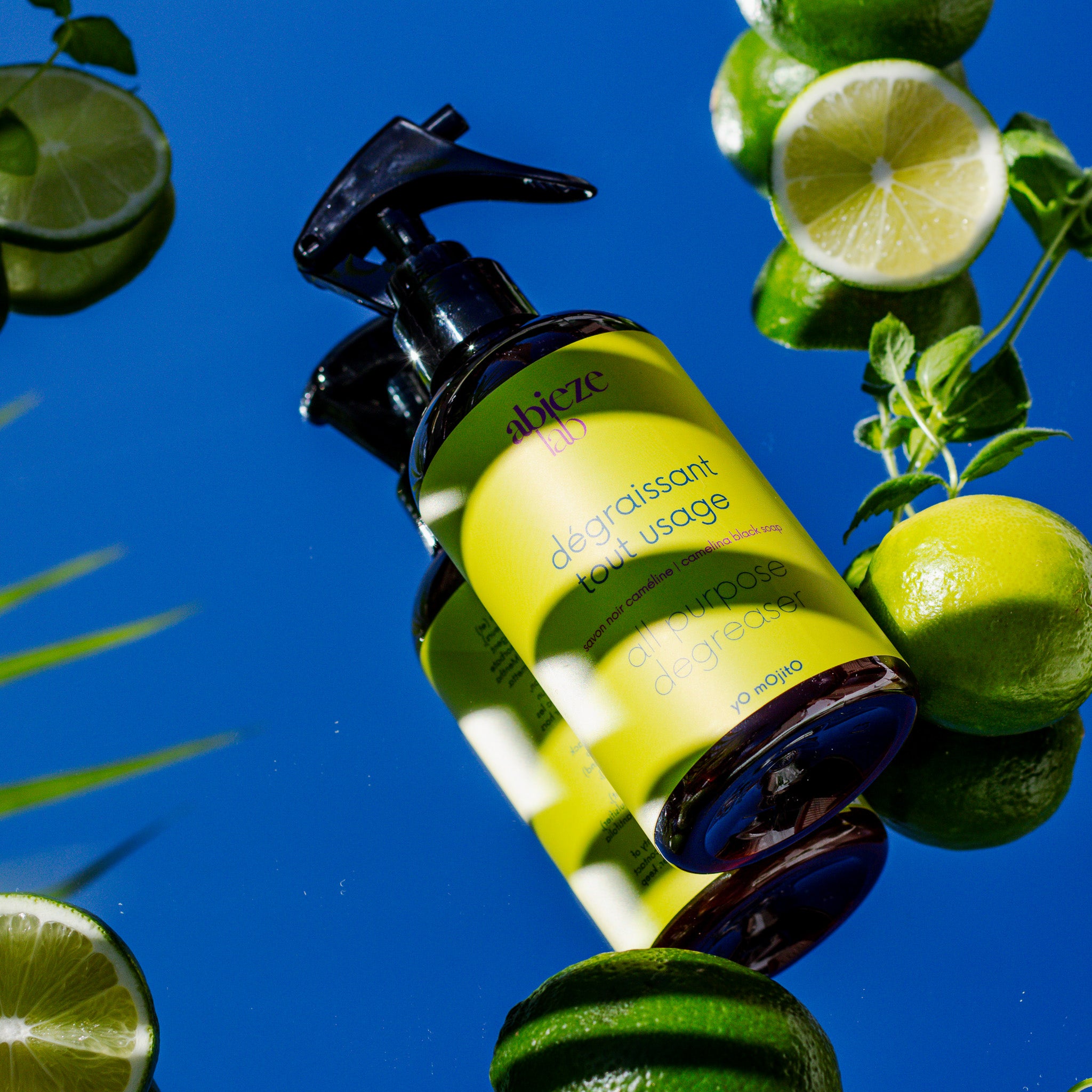 All-purpose degreaser with camelina soap