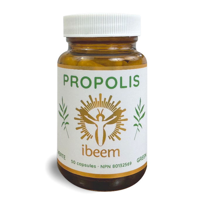 Capsules de Propolis Verte de Baccharis - Système immunitaire
