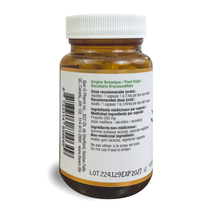 Capsules de Propolis Verte de Baccharis - Système immunitaire