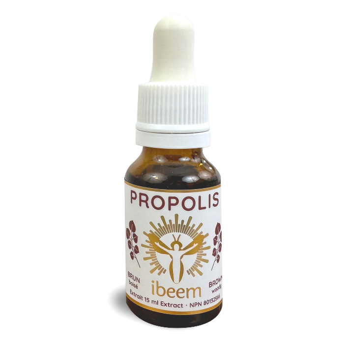 Extrait de Propolis brune de peuplier