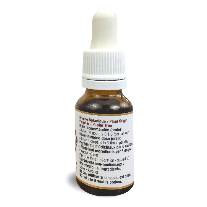 Extrait de Propolis brune de peuplier