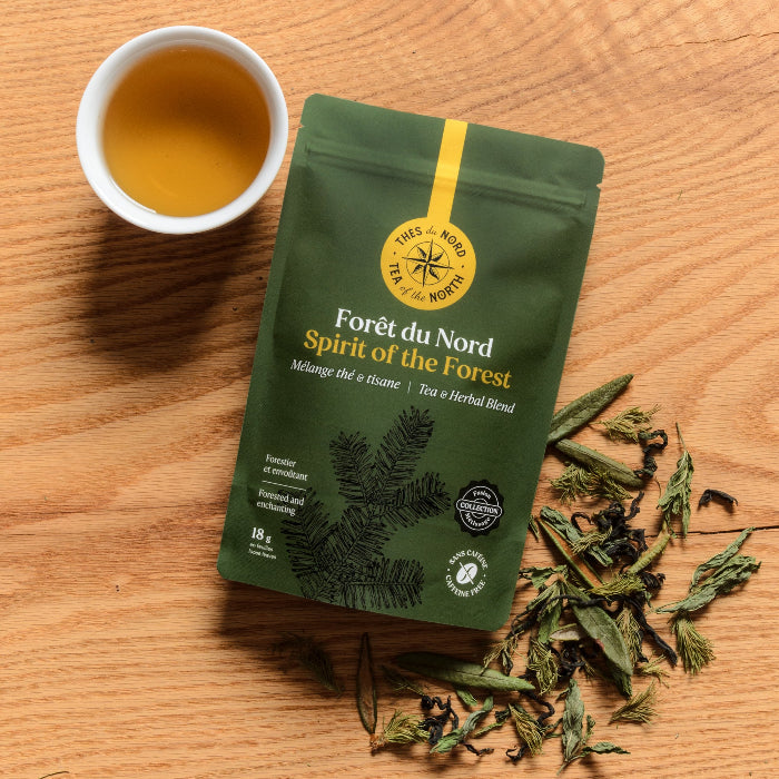 foretdunord_retouchee 1