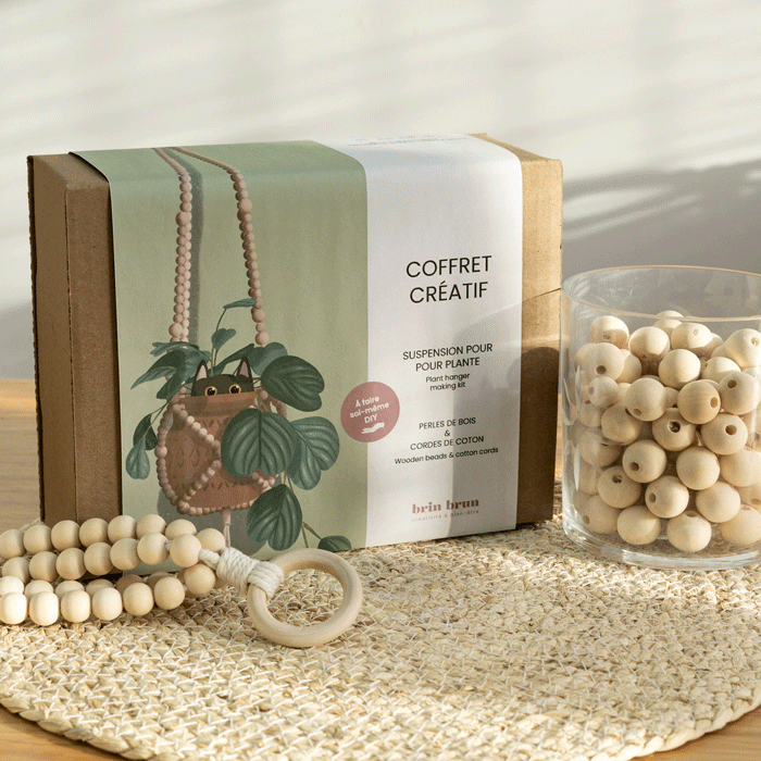 DIY kit - Bead plant hanger