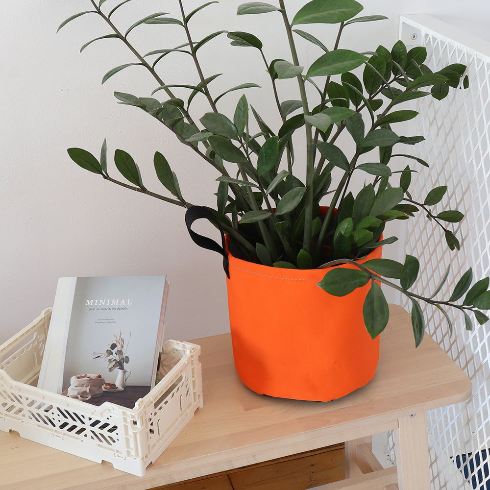 Round pot - Montreal