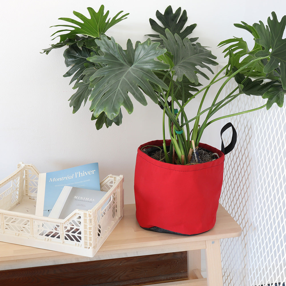 9in round pot - Yellow