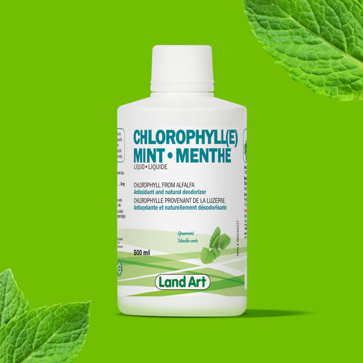 Liquid Chlorophyll - Mint
