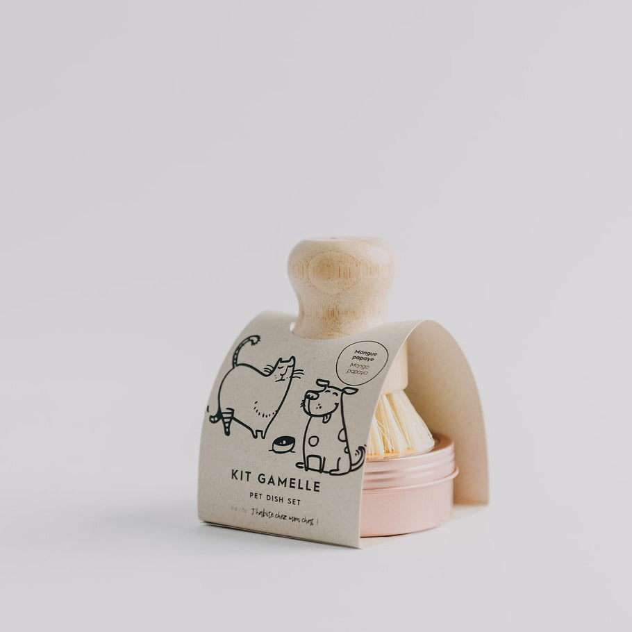 Bowl cleaner - Mango & Papaya (cake + dish brush)