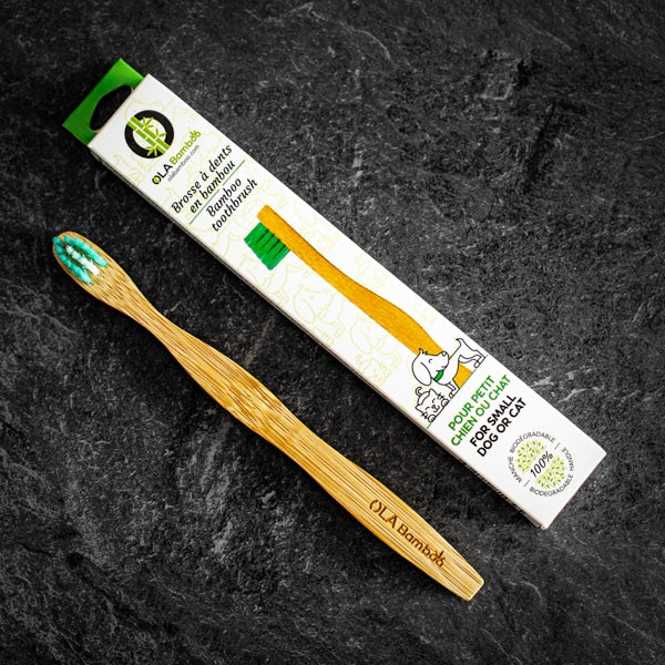 Set of 2 toothbrushes - Small dog or cat
