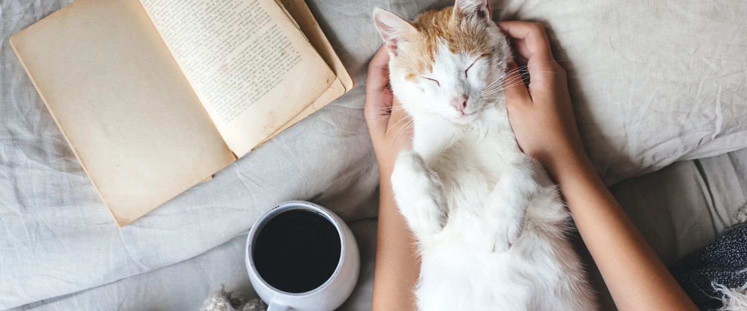 Pratiquer le Hygge pour un automne chaleureux et serein