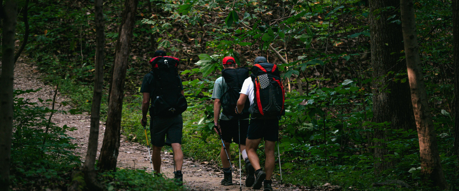 10 Gestes simples pour respecter la nature lors d'une randonnée au Québec