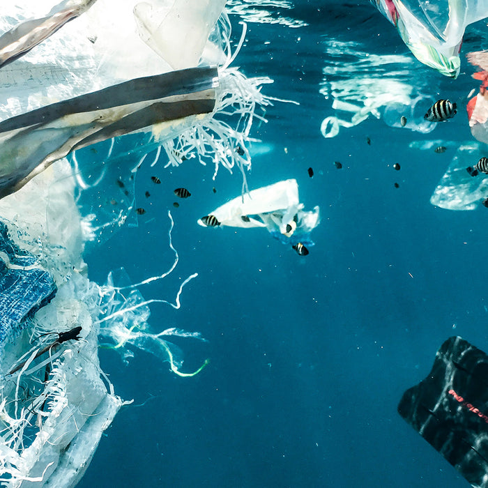 Réduire le plastique dans les océans: guide complet