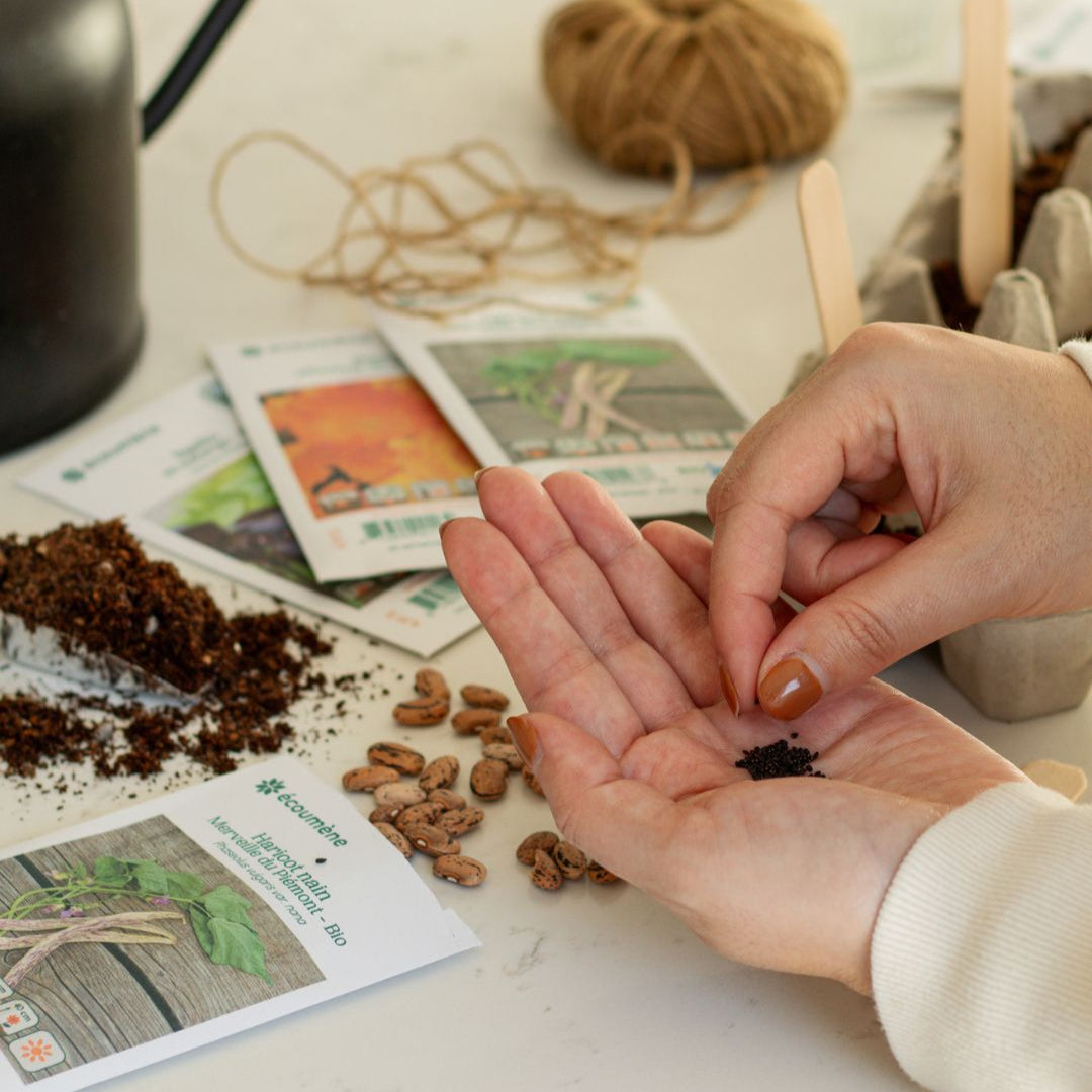 * Un seul échantillon par commande * Semences biologiques