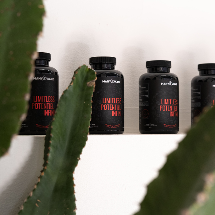 Functional mushroom supplement - Gummies