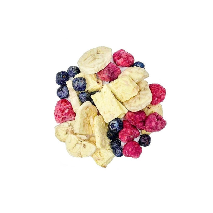 Freeze-dried fruit - Toucan mix