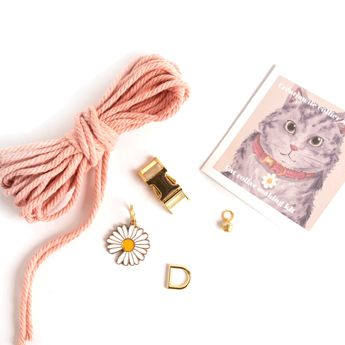 Coffret créatif responsable - Fabrication collier pour chat