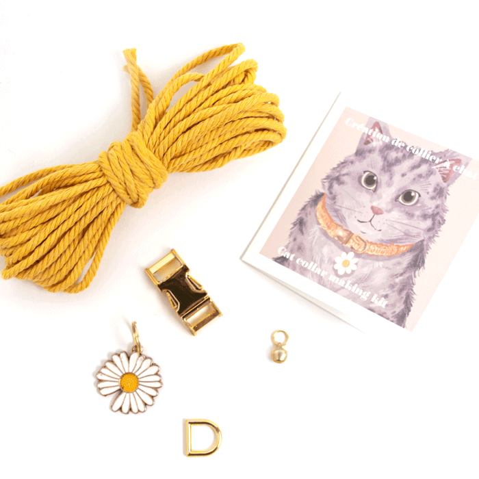 Coffret créatif responsable - Fabrication collier pour chat