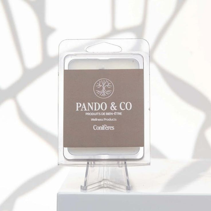 cubes de cire pando 4