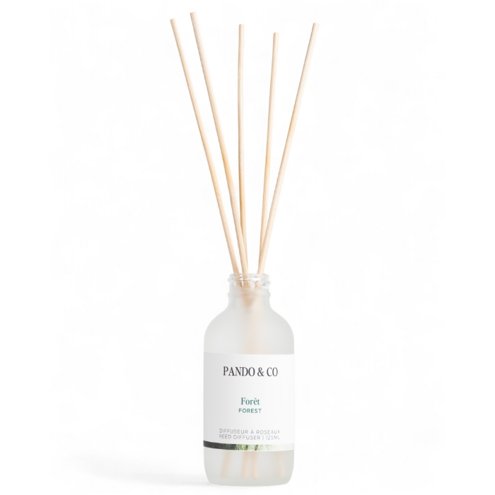 diffuseur roseaux et bâtons foret