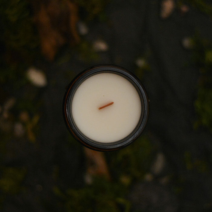 Candle - Mousse de chêne