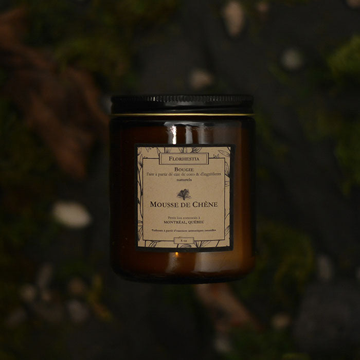 Candle - Mousse de chêne