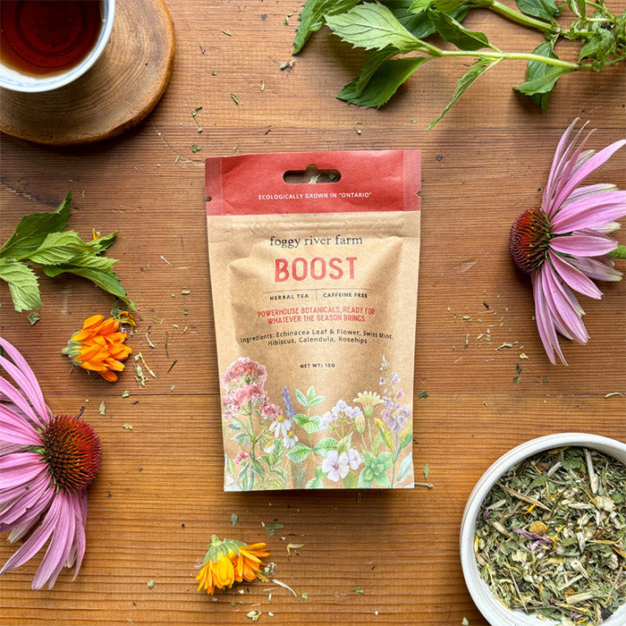 Tisane Boost - Système immunitaire