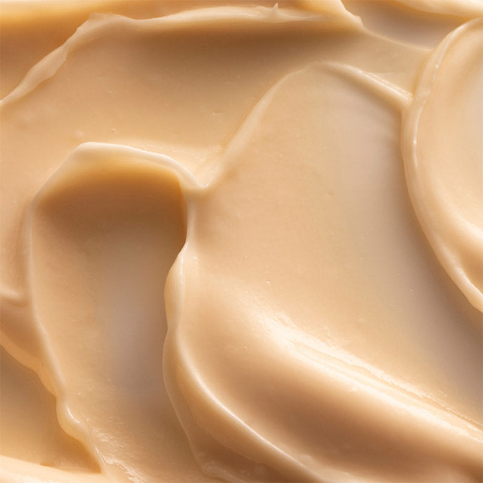 Crème de Jour Radiance - Cellules Souches de Raisin + Squalane