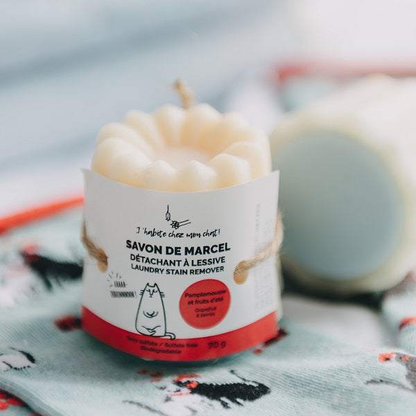 Savon détachant à lessive