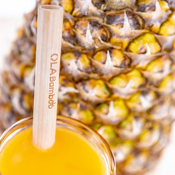 Pailles en bambou - Boîte de 6