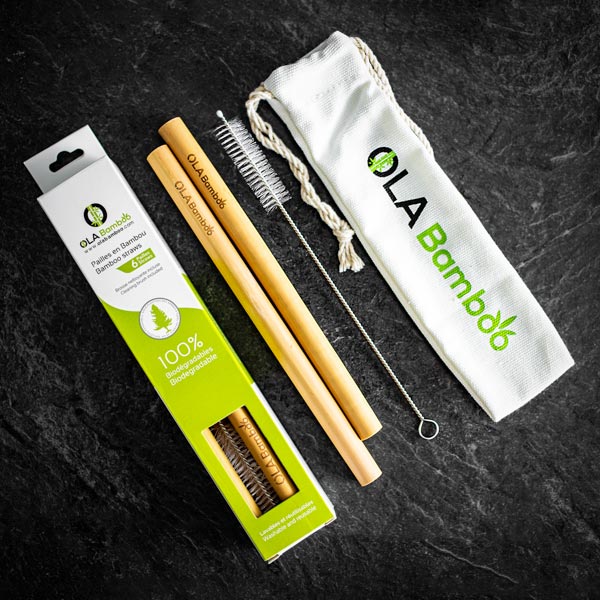 Bamboo Smoothie Straws - Set of 2