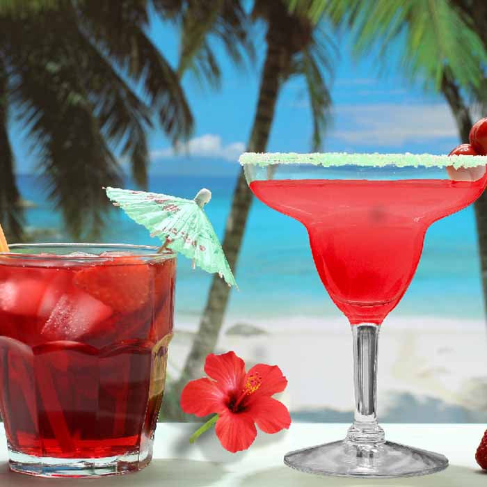 Chai Hibiscus Herbal Tea - Blood Pressure & Weight Loss