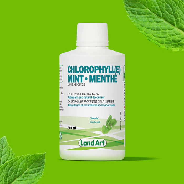 Chlorophylle Liquide - Menthe