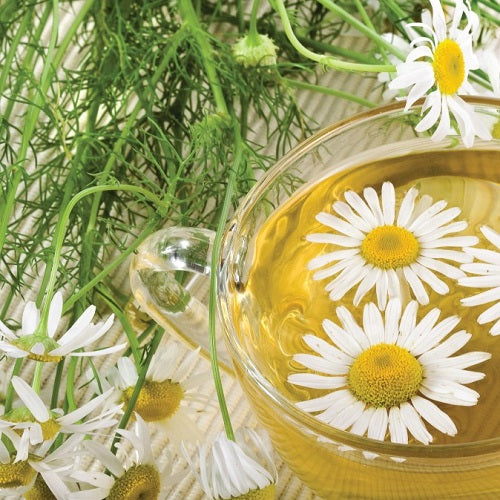 Tisane Camomille - Sommeil & Digestion