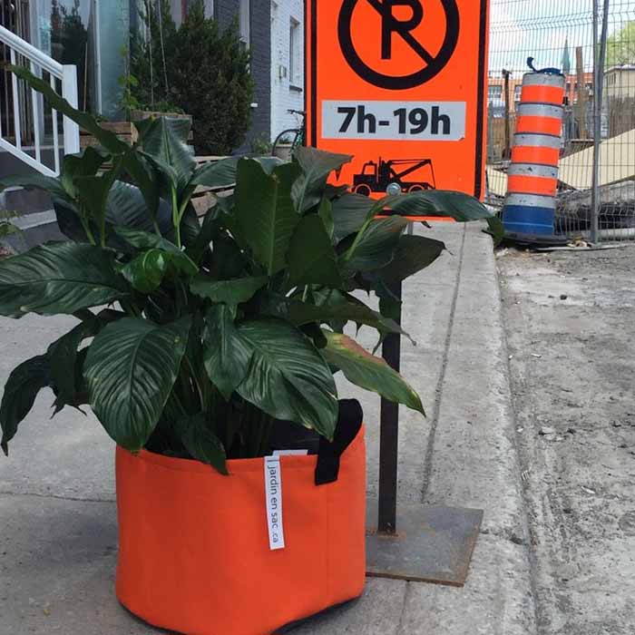 Pot rond - Montréal