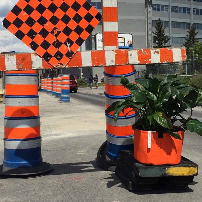 Pot rond - Montréal